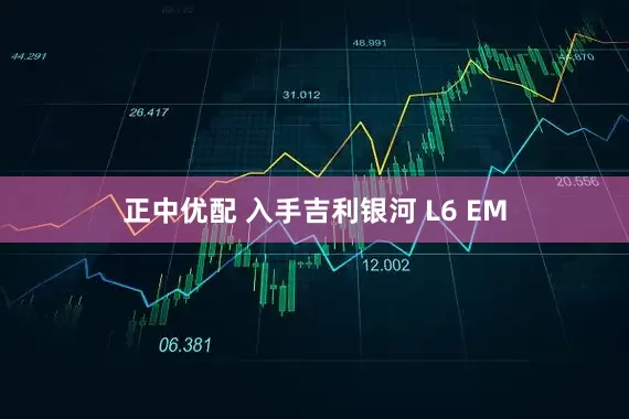 正中优配 入手吉利银河 L6 EM