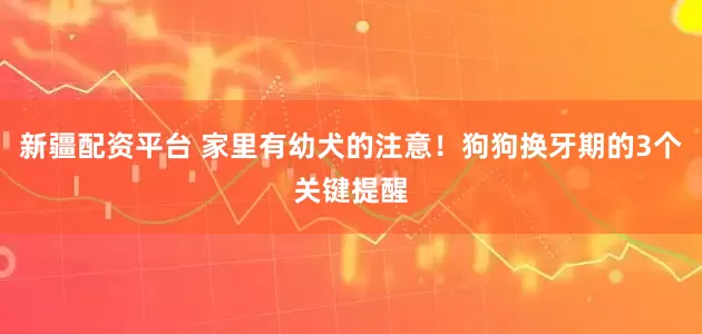 新疆配资平台 家里有幼犬的注意！狗狗换牙期的3个关键提醒